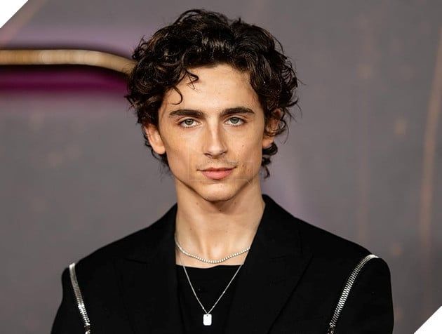 Hình ảnh của Timothée Chalamet, sao nam nổi bật của Hollywood.