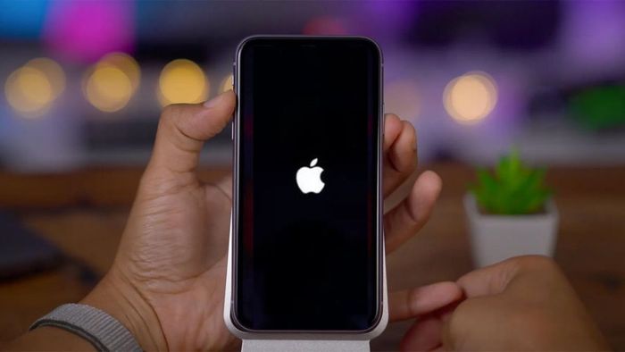 Cách khắc phục lỗi iPhone lên táo rồi tắt bằng cách khởi động lại