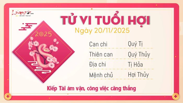 Tử vi hàng ngày 20/11/2025 - Tuổi Hợi