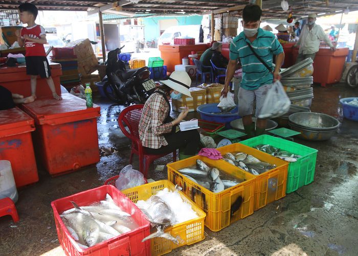 Khám phá chợ Phước Hải và thưởng thức hải sản tươi sống 4