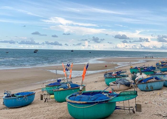 Khám phá chợ Phước Hải và thưởng thức hải sản tươi ngon 7