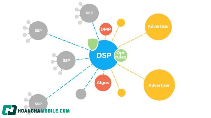 dsp-la-gi-8