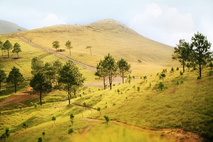 Khám phá đỉnh Phượng Hoàng - nơi lý tưởng để hòa mình vào thiên nhiên Quảng Ninh 2