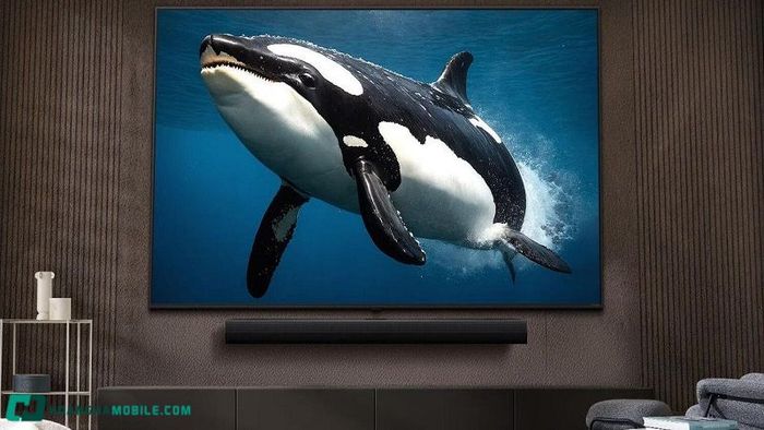 tv-65-inch-7