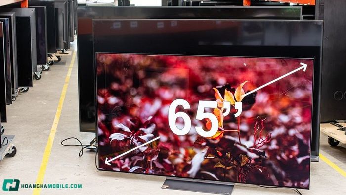 tv-65-inch-2