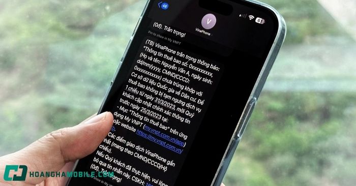 kiem-tra-thong-tin-thue-bao-vina