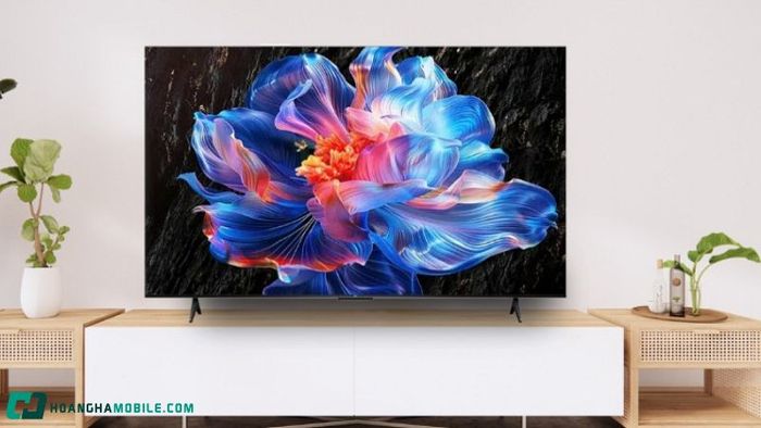 tv-65-inch-4