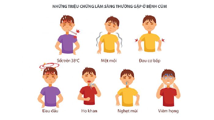 anh2