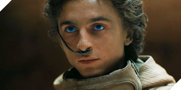 Hình ảnh về nam diễn viên Timothée Chalamet.
