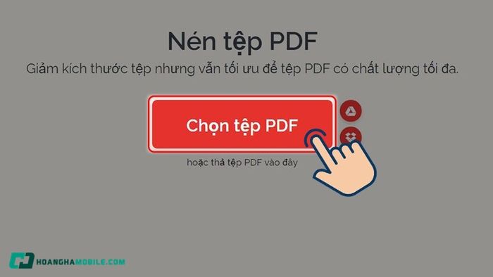 nen-tep-10