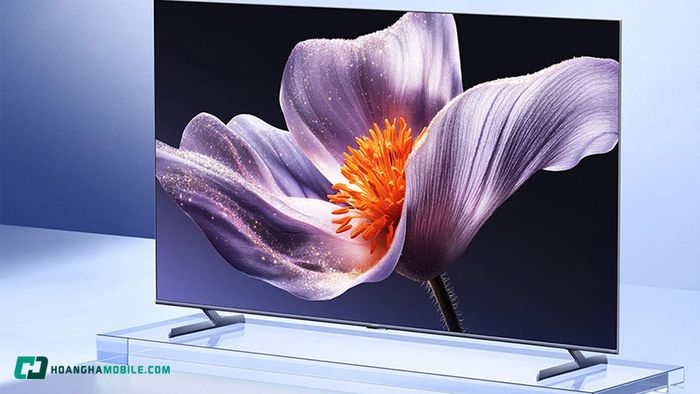 tv-75-inch-11