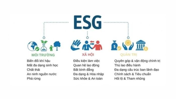ESG (Environmental, Social, and Governance) là thuật ngữ dùng để chỉ ba yếu tố: Môi trường (E), Xã hội (S) và Quản trị (G).