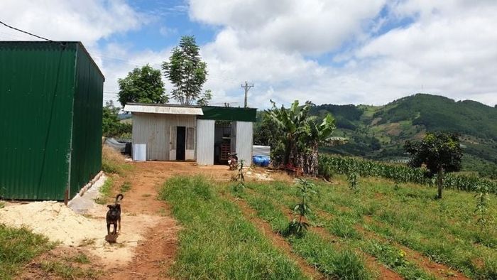 Công dân được phép xây dựng nhà kho trên đất nông nghiệp (Nguồn: BPL)