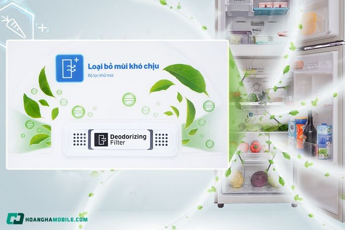 mua-tu-lanh-06