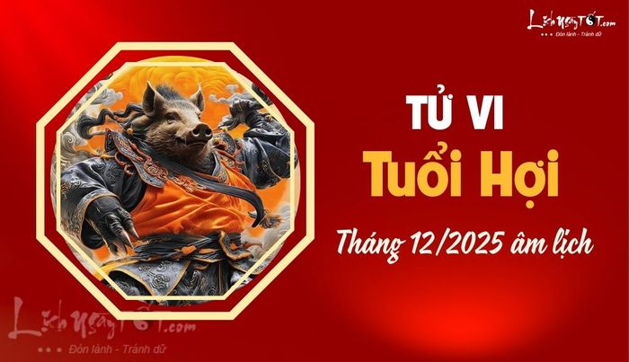 Tử vi tháng 12/2025 tuổi Hợi âm lịch