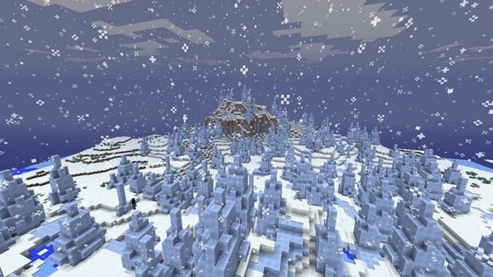 biome-minecraft-8