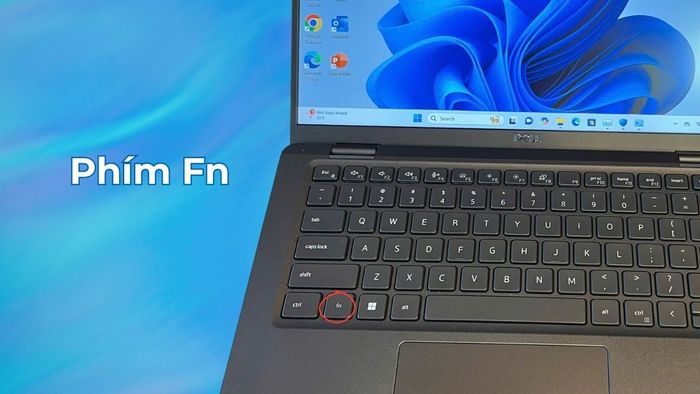 Tắt phím Fn trên laptop Dell nên dựa vào nhu cầu và thói quen sử dụng của mỗi người