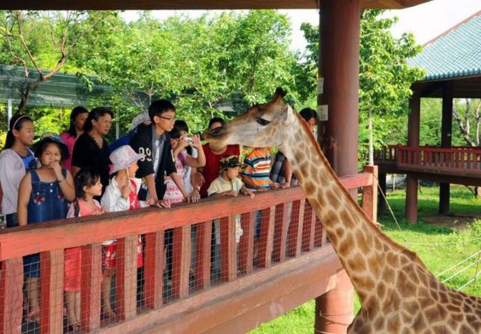 Thư giãn và khám phá thiên nhiên hoang dã tại vườn thú Đại Nam 10