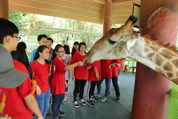 Thư giãn và khám phá thiên nhiên hoang dã tại vườn thú Đại Nam 5