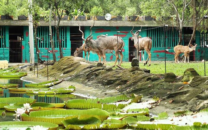 Thư giãn và khám phá thiên nhiên hoang dã tại vườn thú Đại Nam 3