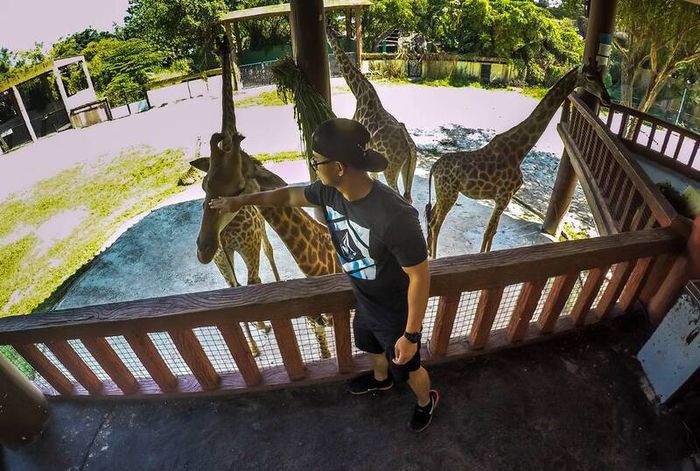 Thư giãn và khám phá thiên nhiên hoang dã tại vườn thú Đại Nam 6