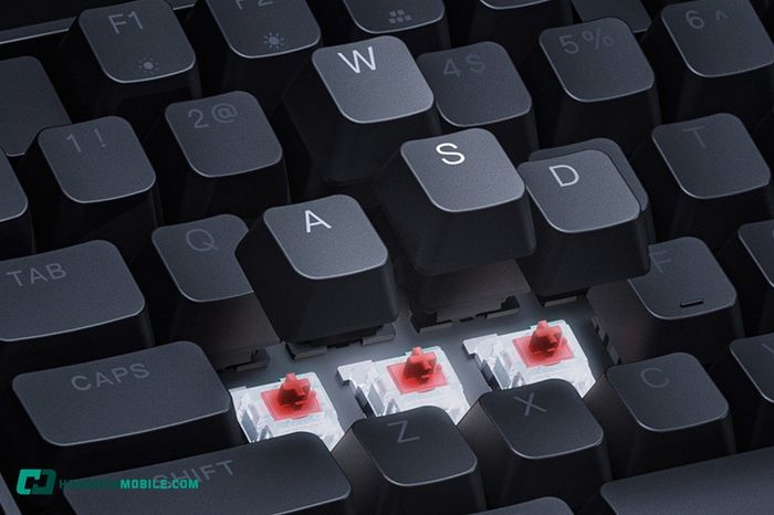 red-switch-14