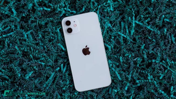 iphone-12-03