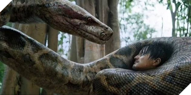 Ảnh về bộ phim Anaconda.