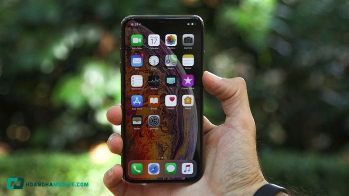 iphone-xs-max-04