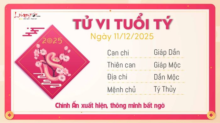 Tử vi hàng ngày 11/12/2025 - Tuổi Tý