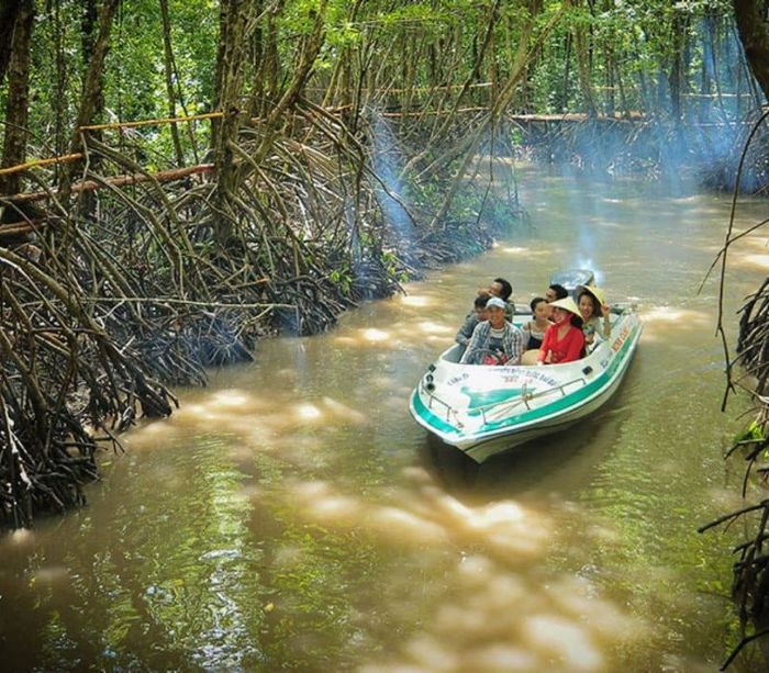 Vườn quốc gia Mũi Cà Mau: Điểm cực Nam thiêng liêng của Tổ quốc 8