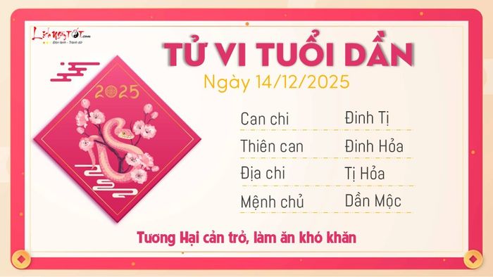Tử vi hàng ngày 14/12/2025 - Tuổi Dần