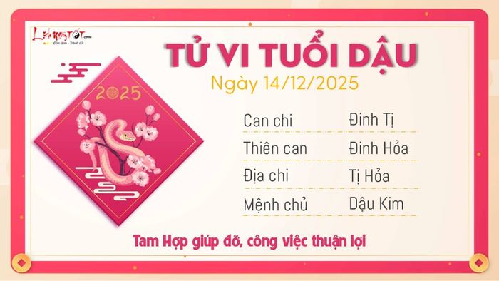 Tử vi hàng ngày 14/12/2025 - Tuổi Dậu