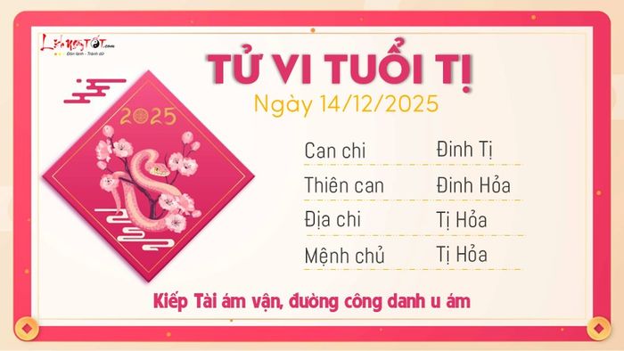 Tử vi hàng ngày 14/12/2025 - Tuổi Tị