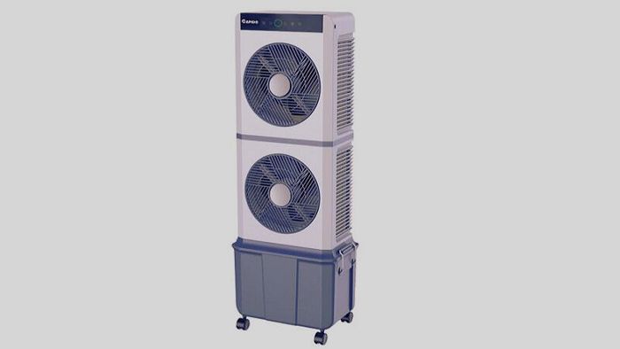 quat-rapido-10