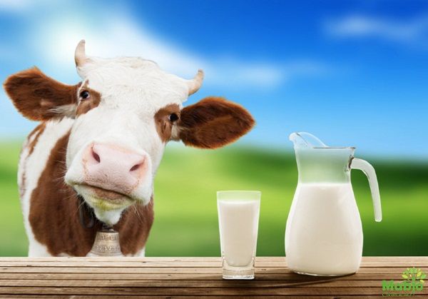 Giảm căng thẳng và mệt mỏi ảnh minh họa 2
