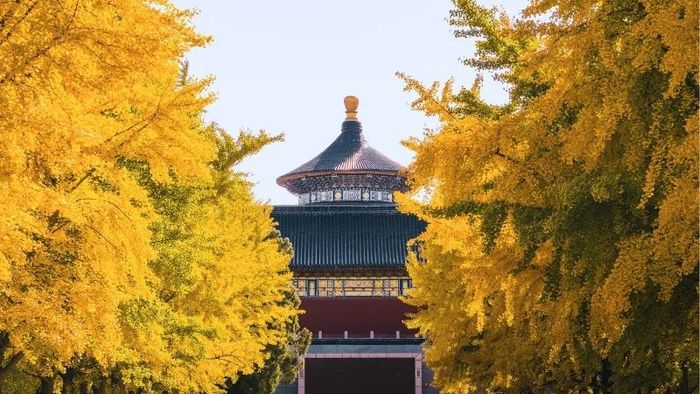 Thời gian lý tưởng để tham quan Thiên Đàn