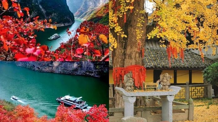 Thời tiết Trùng Khánh vào mùa thu chìm trong lá thu