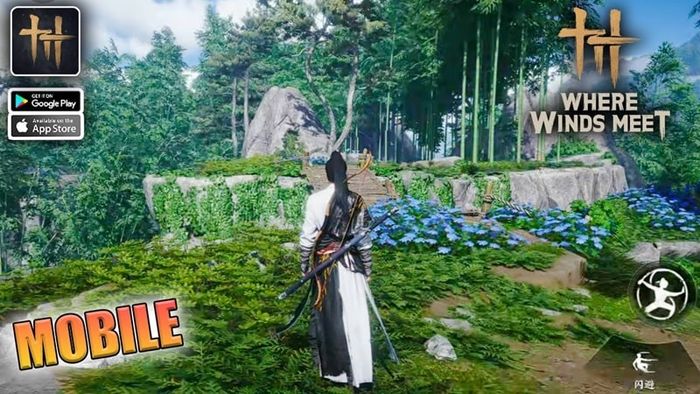 cau-hinh-where-winds-meet-mobile