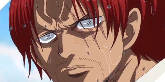 Haki hay Trái Ác Quỷ, cái nào mạnh hơn? Oda đã đưa ra câu trả lời dứt khoát trong One Piece 2.