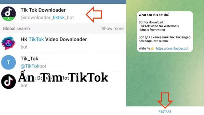 tai-tiktok-khong-logo-tren-iphone-7