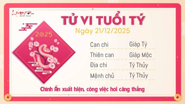 Tử vi hàng ngày 21/12/2025 của Tý