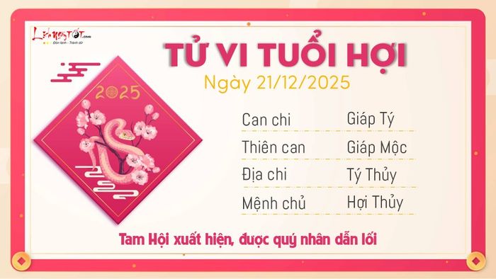 Tử vi hàng ngày 21/12/2025 của Hợi