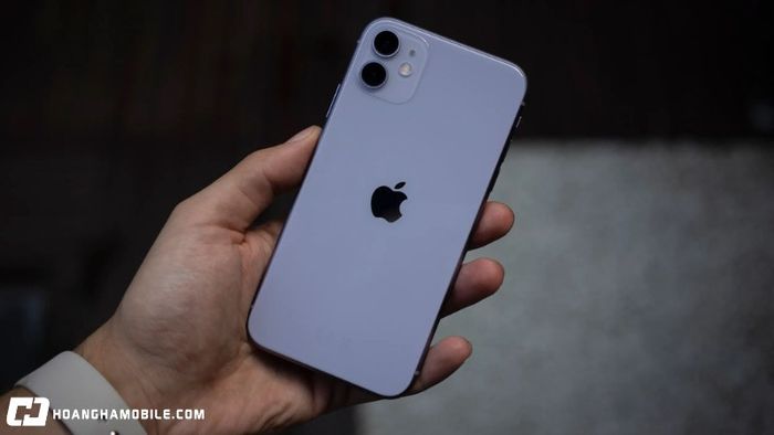 gia-iphone-11-cu-va-moi-bang-gia-re-chi-hon-5-trieu-co-xung-dang-mua-4