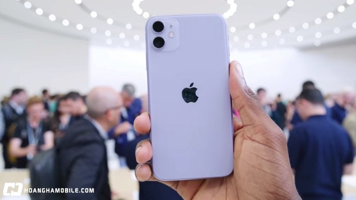 gia-iphone-11-cu-va-moi-bang-gia-re-chi-hon-5-trieu-co-xung-dang-mua-12