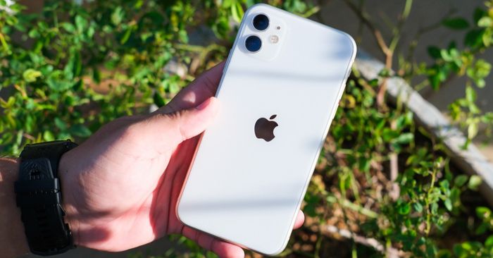 gia-iphone-11-cu-va-moi-bang-gia-re-chi-hon-5-trieu-co-xung-dang-mua-16