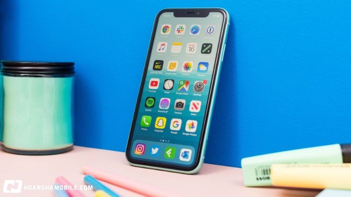 gia-iphone-11-cu-va-moi-bang-gia-re-chi-hon-5-trieu-co-xung-dang-mua-5