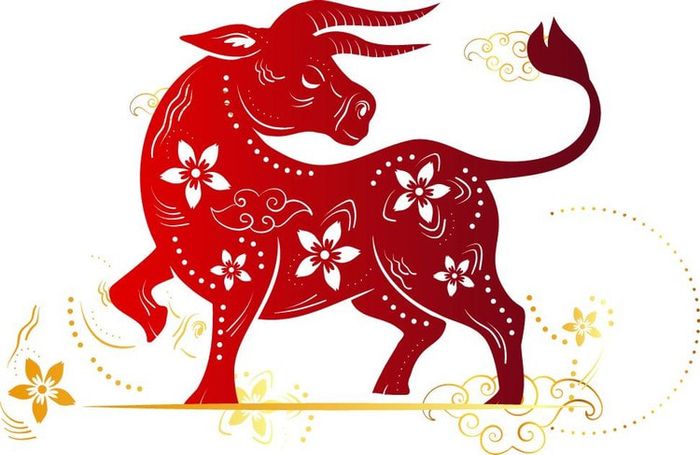 Tuổi Sửu