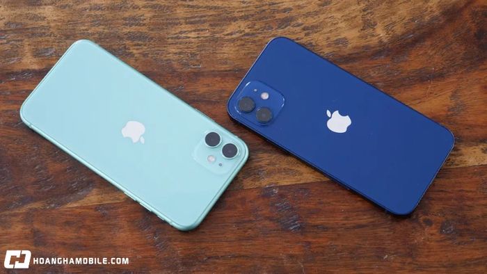 gia-iphone-11-cu-va-moi-bang-gia-re-chi-hon-5-trieu-co-xung-dang-mua-9
