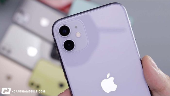 gia-iphone-11-cu-va-moi-bang-gia-re-chi-hon-5-trieu-co-xung-dang-mua-14